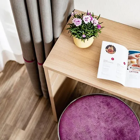 Hotel Bellevue 3*